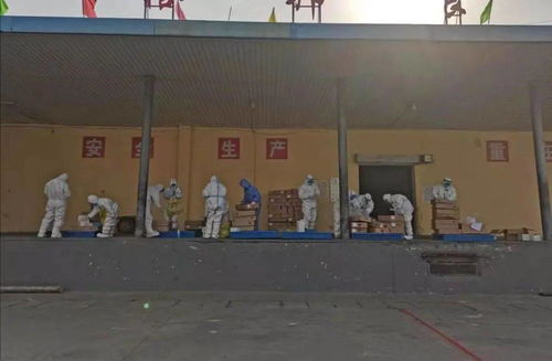 逆行出征 抗疫有我 昌黎疾控人在行动