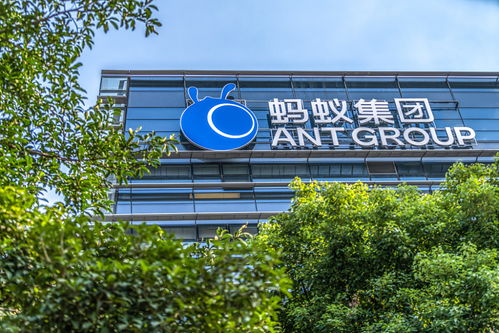 棱镜 散户融资3600亿打新蚂蚁,港币吃紧 香港金管局投放千亿稳汇率