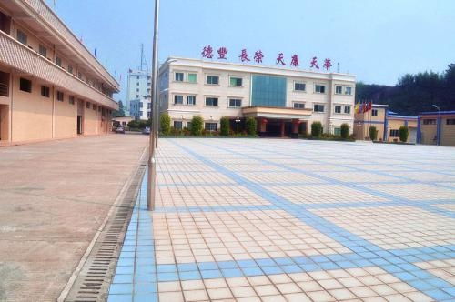 广宁德丰保健食品厂