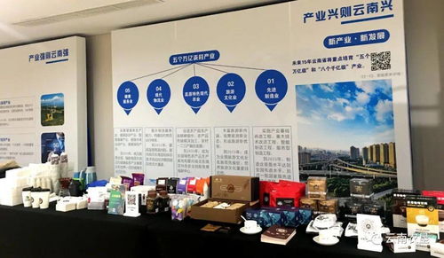 云南农垦集团借力进博会打造世界一流 绿色食品牌
