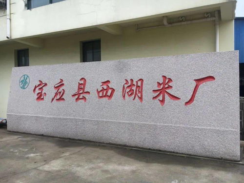 喜讯 宝应这个镇获国家级博览会金奖了
