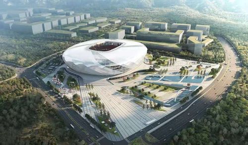 舒居理想,龙兴新国风品质洋房,重庆融创九宸府新品加推