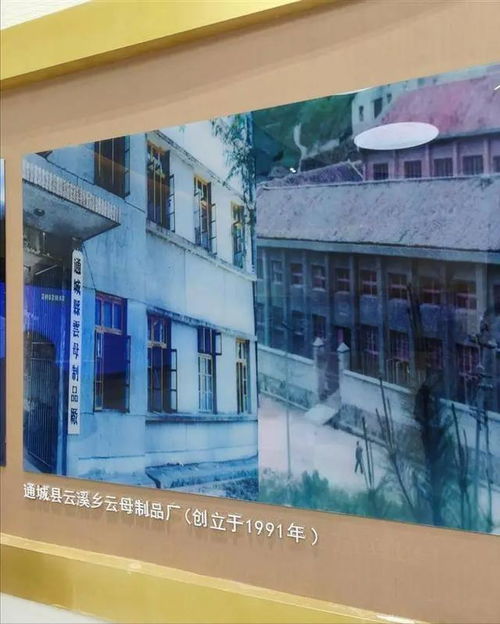 短短10天,湖北产生2位富豪,咸宁1家6口30亿,孝感新首富超百亿