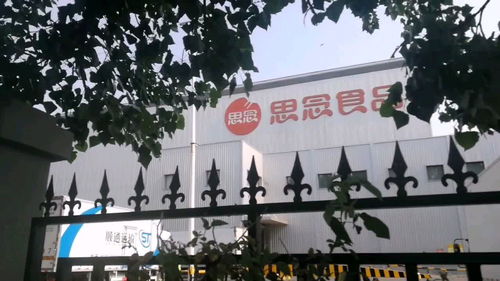 郑州思念食品厂与澄海盛隆纸品 现代工业与宜居环境的和谐乐章